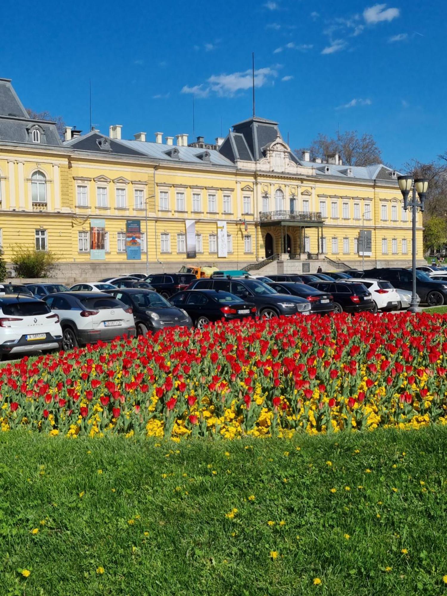 Tulip Dreamland Lägenhet Sofia Exteriör bild