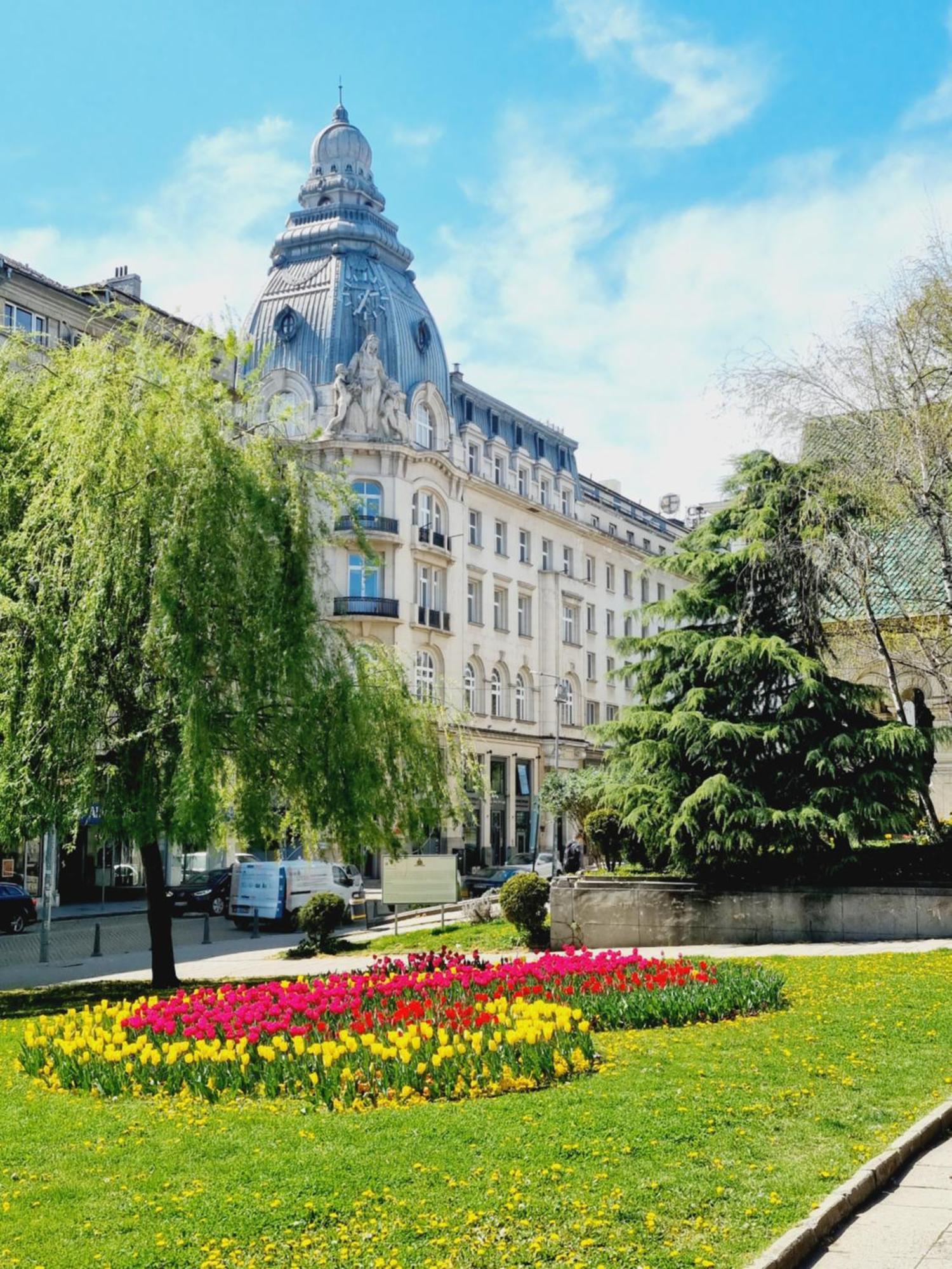 Tulip Dreamland Lägenhet Sofia Exteriör bild
