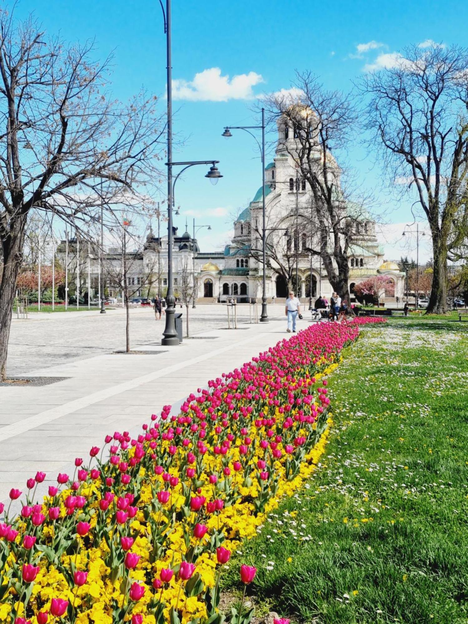 Tulip Dreamland Lägenhet Sofia Exteriör bild